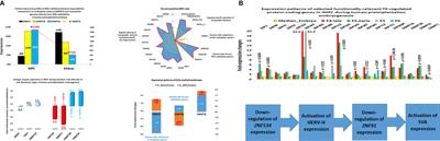 Genomics-Guided Drawing of Molecular and Pathophysiological Components of Malignant Regulatory Signatures Reveals a Pivotal Role in Human Diseases of Stem Cell-Associated Retroviral Sequences and Functionally-Active hESC Enhancers